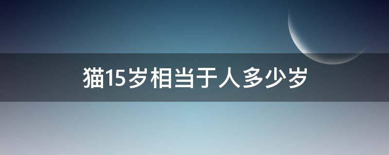 猫15岁相当于人多少岁（猫15岁相当于人类多少岁）