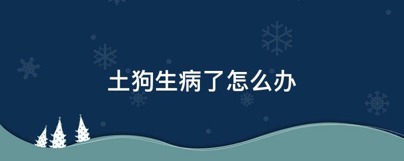 土狗生病了怎么办（为什么土狗生病可以自己好宠物狗却不行）