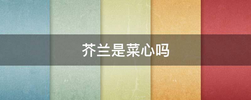 芥兰是菜心吗 芥兰菜是菜心吗