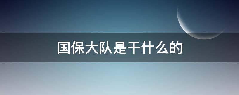 国保大队是干什么的（国保大队是干什么的?）