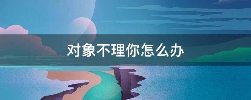 对象不理你怎么办（对象不理你怎么办句子）