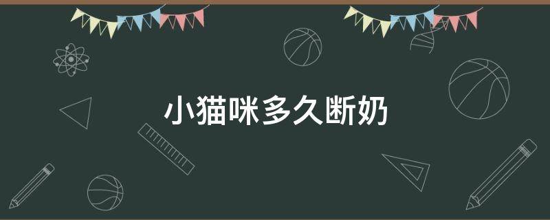小猫咪多久断奶（出生的小猫咪多久断奶）