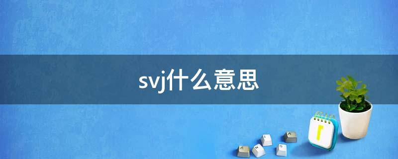 svj什么意思（svj是什么车）