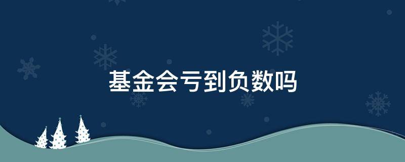 基金会亏到负数吗（基金会亏损到负数吗）