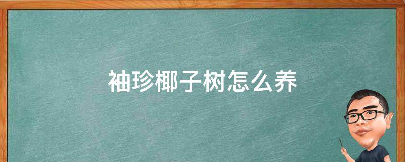 袖珍椰子树怎么养 袖珍椰子树怎么养才旺盛