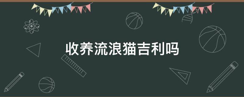收养流浪猫吉利吗（收养流浪猫好不好?民间说会不吉利）