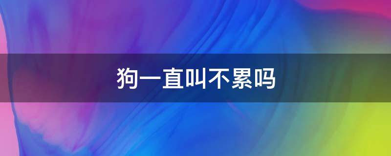 狗一直叫不累吗（为什么狗一直叫不累吗）