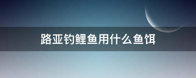 路亚钓鲤鱼用什么鱼饵（路亚用什么饵可以钓鲤鱼）