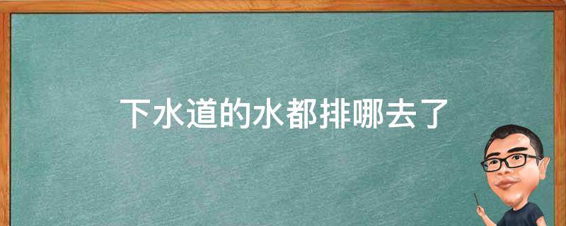 下水道的水都排哪去了 马路下水道的水都排哪去了