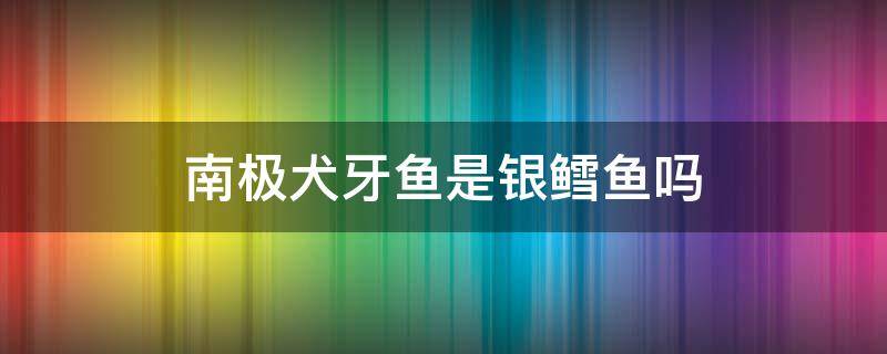 南极犬牙鱼是银鳕鱼吗 小鳞南极犬牙鱼是银鳕鱼吗