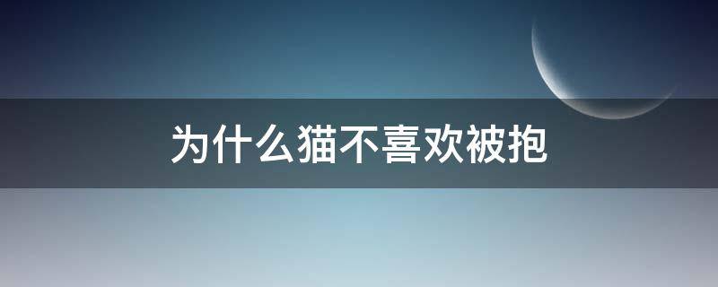 为什么猫不喜欢被抱 为什么猫不喜欢被抱着睡