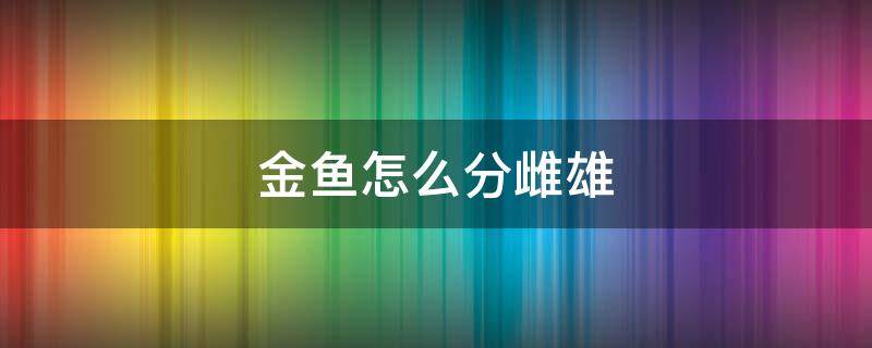 金鱼怎么分雌雄（金鱼怎么分雌雄图解）