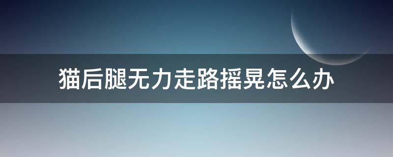 猫后腿无力走路摇晃怎么办 猫后腿无力走路摇摇晃晃