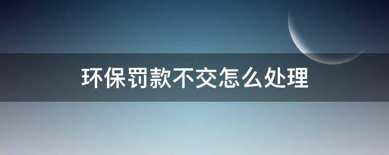 环保罚款不交怎么处理（环保罚款可以不交吗）