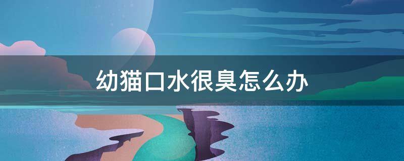 幼猫口水很臭怎么办 猫的口水有点臭怎么办