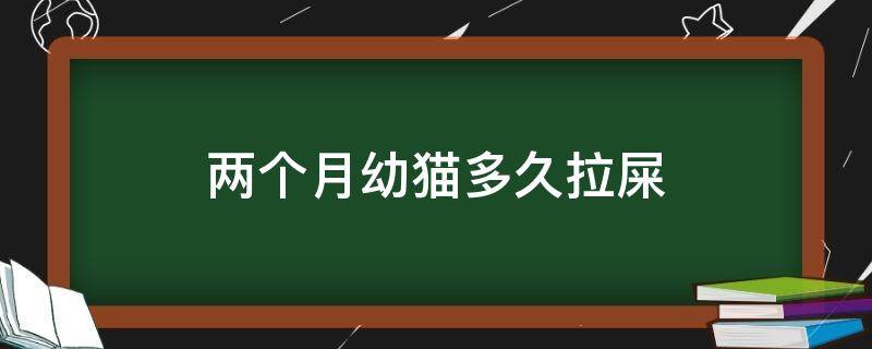 两个月幼猫多久拉屎（两个月幼猫多久拉屎一次正常）