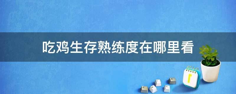 吃鸡生存熟练度在哪里看（吃鸡怎么看自己生存熟练度）