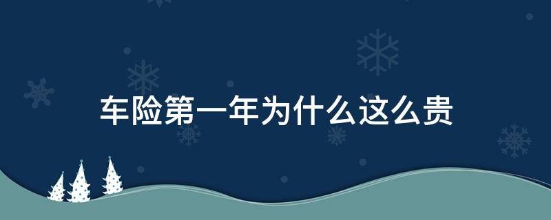 车险第一年为什么这么贵 车险第一年为啥这么贵