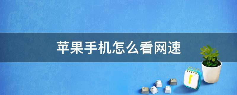 苹果手机怎么看网速 苹果手机怎么看网速显示