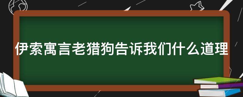 伊索寓言老猎狗告诉我们什么道理 老猎狗寓言故事的道理