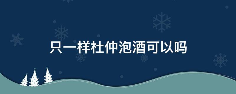 只一样杜仲泡酒可以吗 杜仲能单独泡酒吗