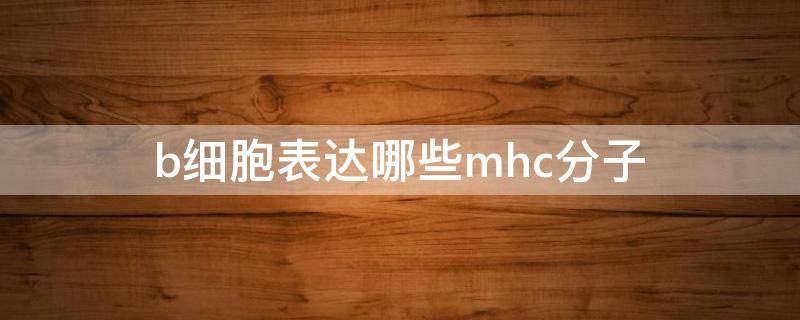 b细胞表达哪些mhc分子 mhc二类分子表达于哪种细胞