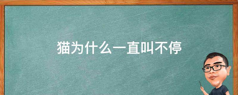 猫为什么一直叫不停 晚上野猫为什么一直叫不停