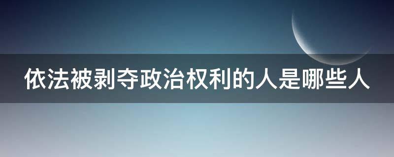 依法被剥夺政治权利的人是哪些人（依法被剥夺政治权利的人是公民吗）