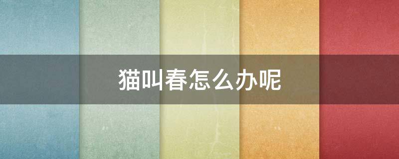 猫叫春怎么办呢 猫叫春怎么治