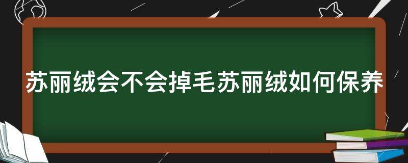 苏丽绒会不会掉毛苏丽绒如何保养（苏丽绒是什么面料成分）