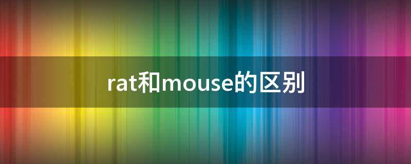 rat和mouse的区别（Rat和mouse的区别）