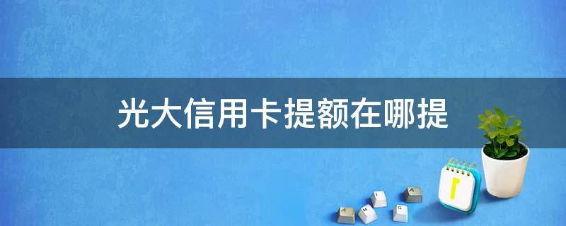 光大信用卡提额在哪提（光大银行可以申请提额吗）