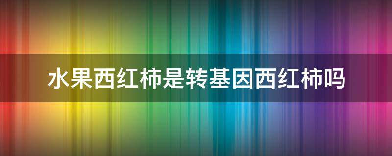 水果西红柿是转基因西红柿吗 水果西红柿是不是转基因