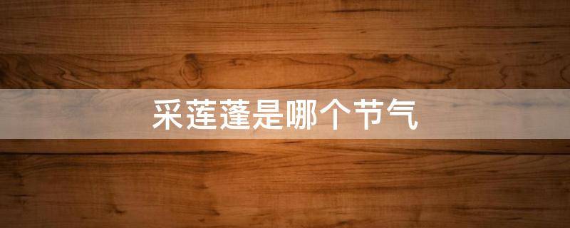 采莲蓬是哪个节气 莲蓬在什么季节