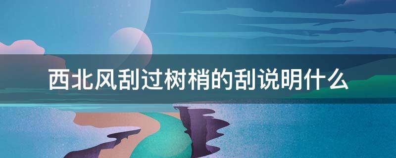 西北风刮过树梢的刮说明什么（西北风刮过树梢怎样的西北风怎样刮过树梢）