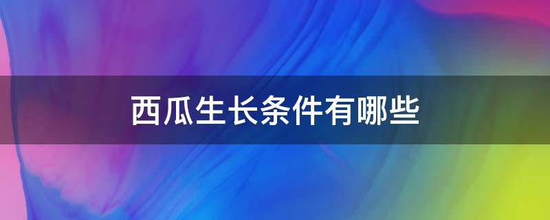 西瓜生长条件有哪些 西瓜生长的适宜温度