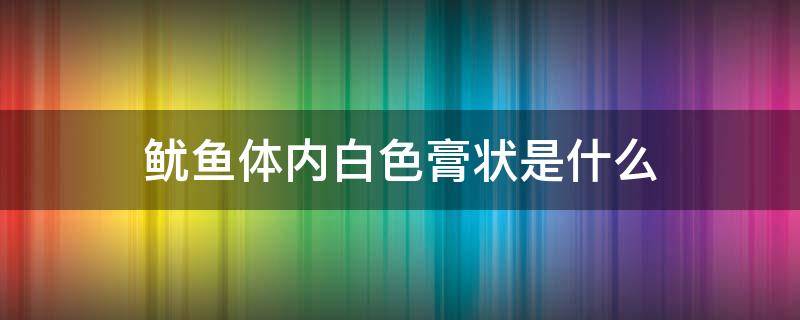 鱿鱼体内白色膏状是什么（鱿鱼体内白色的是什么）