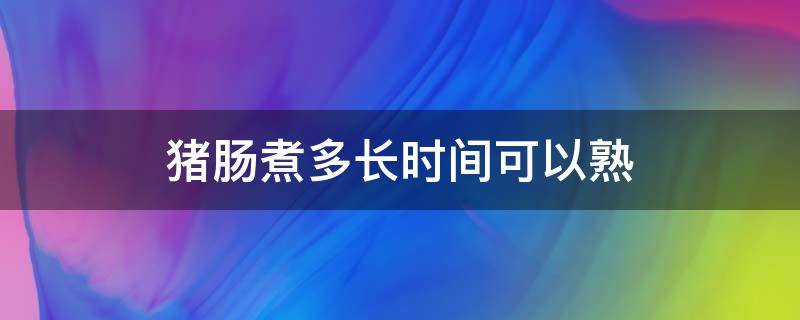 猪肠煮多长时间可以熟 煮猪肠子多长时间能熟