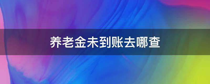 养老金未到账去哪查（养老金没有到账去哪里处理）