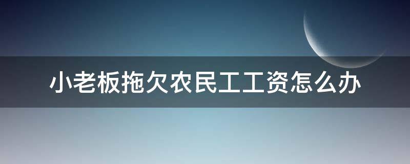 小老板拖欠农民工工资怎么办（老板拖欠农民工资该怎么办）