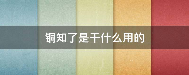 铜知了是干什么用的 铜知了图片大全