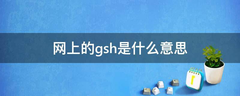 网上的gsh是什么意思 GSH表示