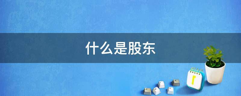 什么是股东 什么是股东权益