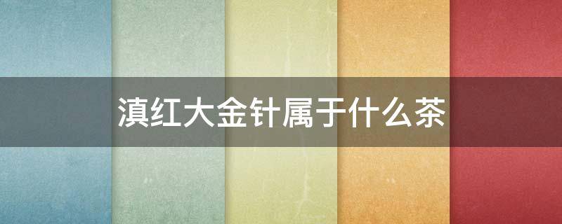 滇红大金针属于什么茶 滇红大金针属于什么茶类