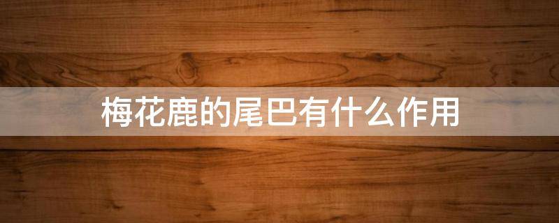 梅花鹿的尾巴有什么作用（梅花鹿的尾巴有什么作用是什么）