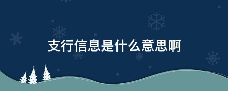 支行信息是什么意思啊 支行信息是什么意思?