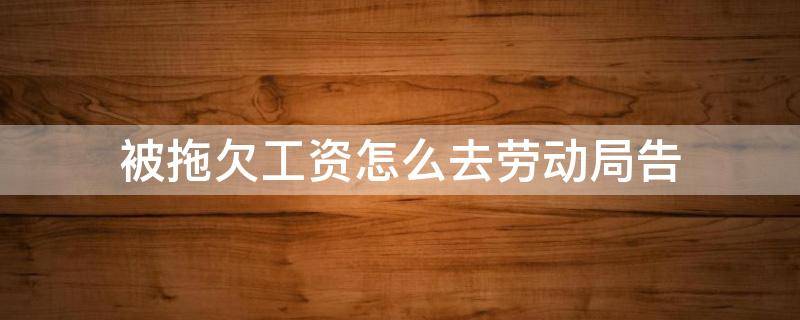 被拖欠工资怎么去劳动局告（拖欠工资告到劳动局）