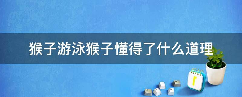 猴子游泳猴子懂得了什么道理（猴子游泳这一课你懂得什道理）