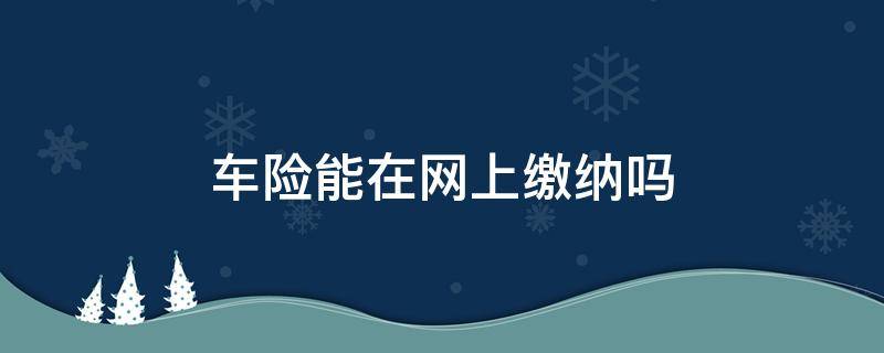 车险能在网上缴纳吗（车保险可以网上缴费吗）