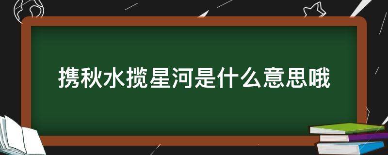 携秋水揽星河是什么意思哦（不再携秋水揽星河是什么意思哦）